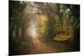 Photographic Print