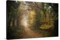 Stretched Canvas Print