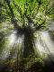 Premium Photographic Print