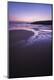 Premium Photographic Print