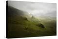Stretched Canvas Print