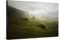 Stretched Canvas Print
