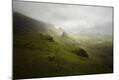 Photographic Print