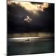 Premium Photographic Print