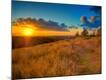 Photographic Print