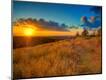 Photographic Print