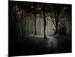 Photographic Print