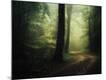 Premium Photographic Print