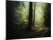 Photographic Print