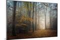 Photographic Print