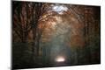 Photographic Print