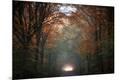 Photographic Print