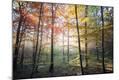 Premium Photographic Print