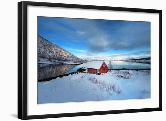 Photographic Print, , large