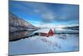 Photographic Print
