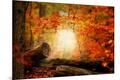 Premium Photographic Print
