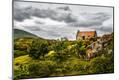 Photographic Print