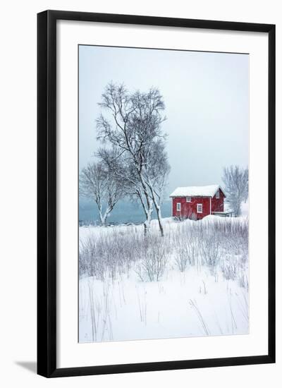 Photographic Print, , large