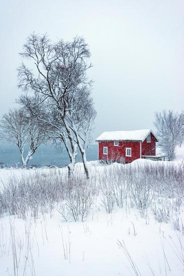 Photographic Print, , large