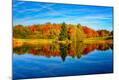Photographic Print