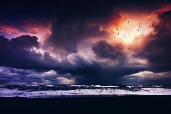Photographic Print, , large