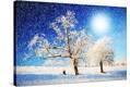 Stretched Canvas Print