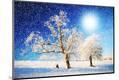 Photographic Print