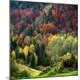 Premium Photographic Print