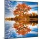 Premium Photographic Print