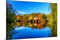 Photographic Print