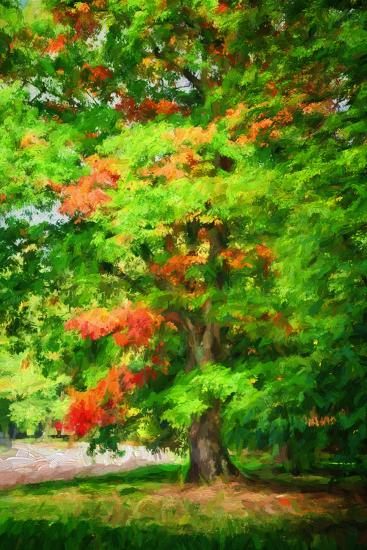 Photographic Print, , large