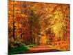 Premium Photographic Print