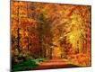Photographic Print