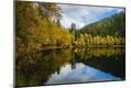 Photographic Print
