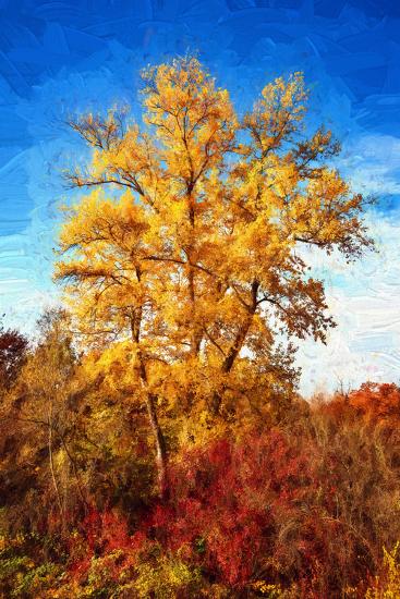Photographic Print, , large