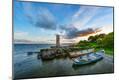 Photographic Print