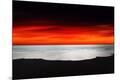 Premium Photographic Print