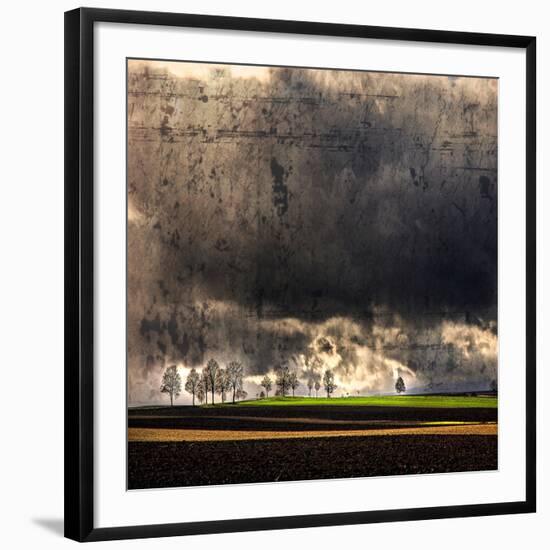 Photographic Print, , large