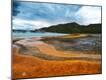 Photographic Print