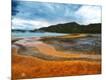 Photographic Print