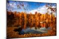 Photographic Print