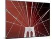 Premium Photographic Print
