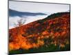 Premium Photographic Print