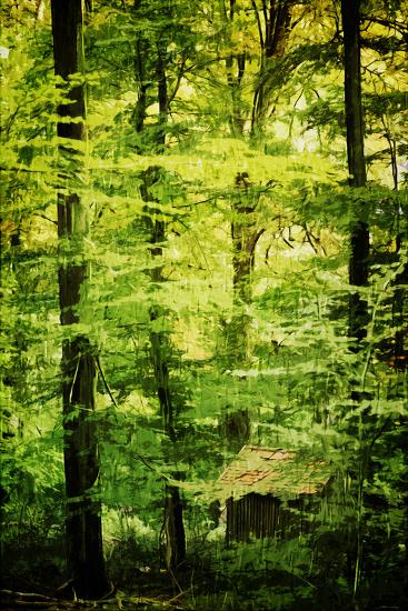 Photographic Print, , large