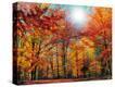 Stretched Canvas Print