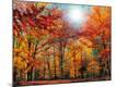 Photographic Print