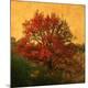 Premium Photographic Print