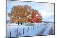 Photographic Print