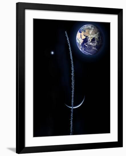 Photographic Print, , large