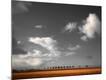 Photographic Print